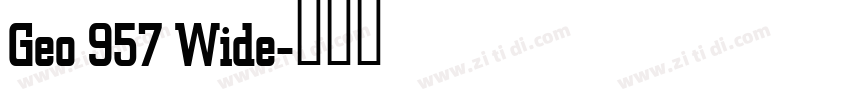 Geo 957 Wide字体转换